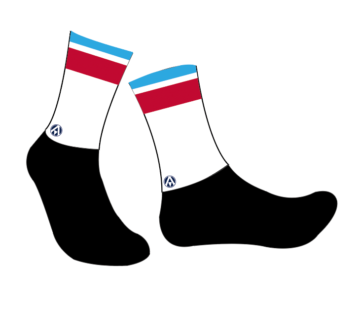 BIRDWELL WHEELERS AERO SOCKS