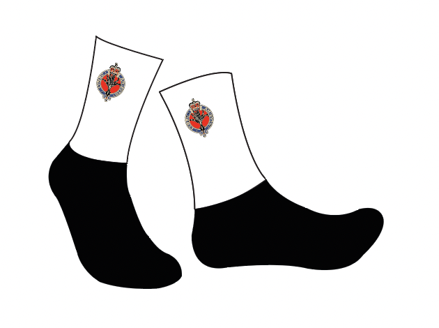 WELSH GUARDS AERO SOCKS
