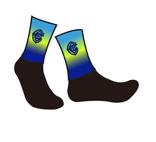CHRISTCHURCH BC AERO SOCKS