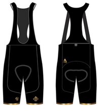 Load image into Gallery viewer, WRA TEAM BIB SHORTS