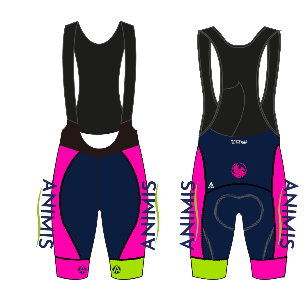 ANIMIS PRO BIB SHORTS